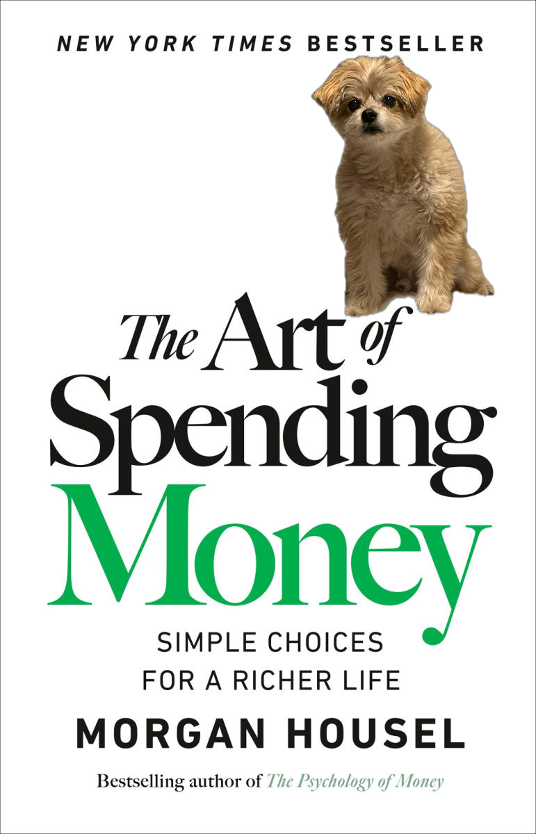 The Art of Spending Money Cover Art (with a special guest).