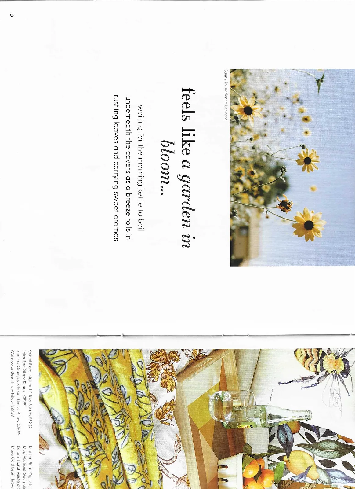 Society6